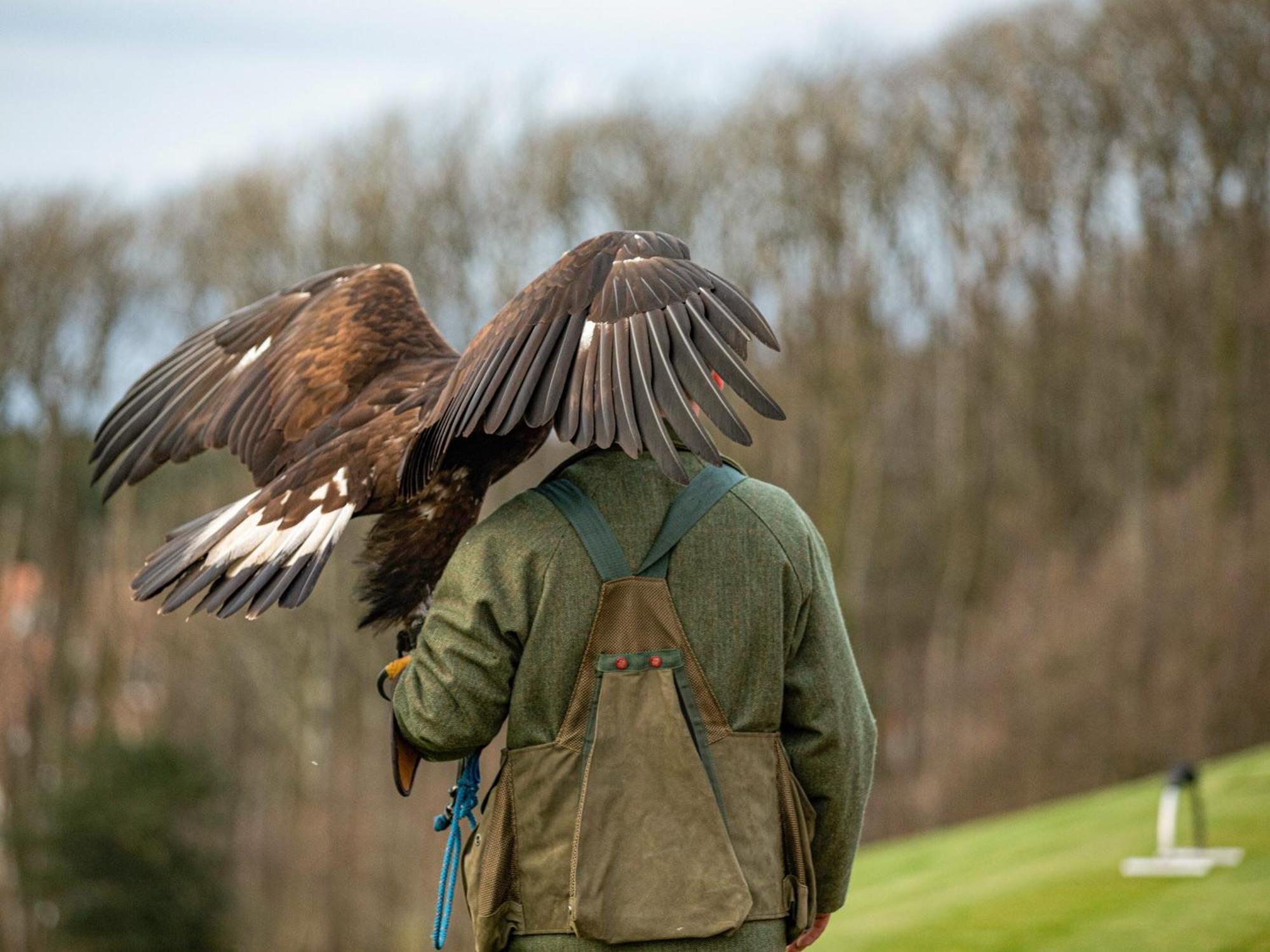 Royal Dornoch - Ukc6918 Villa Turnberry Eksteriør billede